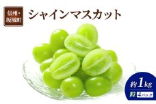 [№5729-0490]ぶどう シャインマスカット 4パック 約1kg 葡萄 ブドウ フルーツ 果物 デザート おやつ 信州 長野 坂城町