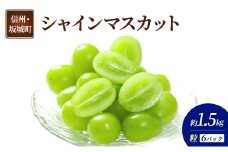 [№5729-0491]ぶどう シャインマスカット 6パック 約1.5kg 葡萄 ブドウ フルーツ 果物 デザート おやつ 信州 長野 坂城町