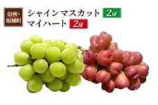 [№5729-0494]ぶどう シャインマスカット 2房 マイハート 2房 葡萄 ブドウ フルーツ 果物 デザート おやつ 信州 長野 坂城町