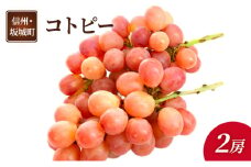 [№5729-0495]ぶどう コトピー 2房 葡萄 ブドウ フルーツ 果物 デザート おやつ 信州 長野 坂城町