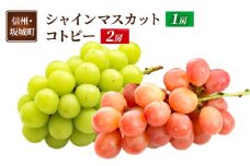 [№5729-0498]ぶどう シャインマスカット 1房 コトピー 2房 葡萄 ブドウ フルーツ 果物 デザート おやつ 信州 長野 坂城町