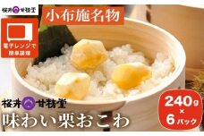 桜井甘精堂 味わい栗おこわ 240g × 6パック ［桜井甘精堂］栗ご飯 ご飯 栗ごはん ごはん 栗 くり レトルト 贈答 ギフト 贈り物 長野 ご飯パック ごはんパック レトルト ギフト プレゼント 贈物 名物 お取り寄せ ［A-205］