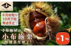 小布施栗（無燻蒸生栗） 約1kg ［小布施屋］ 果物 フルーツ 生栗 くり 日本三大栗 令和7年産【2025年9月中旬～10月下旬発送】 ［H-73］
