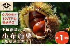 小布施栗（無燻蒸生栗） 約1kg ［小布施屋］ 果物 フルーツ 生栗 くり 日本三大栗 令和7年産【2025年9月中旬～10月下旬発送】 ［H-73］