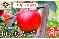  長野県産 季節の旬のりんご 約3kg 6～12玉［小布施屋］ りんご 林檎 リンゴ  果物 フルーツ 令和7年産 【2025年10月～2026年2月発送】 ［H-72］