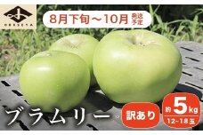 【訳あり】 クッキングアップル ブラムリー 約5kg 12～18玉 ［小布施屋］  林檎 リンゴ フルーツ 果物 傷 キズ 不揃い 規格外 家庭用 令和7年産  【2025年8月下旬～10月発送】  ［A-47］