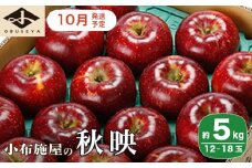  秋映 約5kg 12～18玉 ［小布施屋］  りんご 林檎 リンゴ 果物 フルーツ 令和7年産【2025年10月発送】［A-206］
