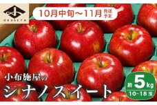  シナノスイート 約5kg 10～18玉 ［小布施屋］りんご 林檎 リンゴ  果物 フルーツ 令和7年産【2025年10月中旬～11月発送】 ［A-207］