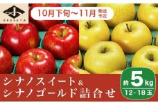  長野県りんごの味比べ 約5kg 12～18玉 シナノスイート シナノゴールド ［小布施屋］ りんご 林檎 リンゴ  果物 フルーツ 令和7年産【2025年10月下旬～11月発送】 ［A-501］