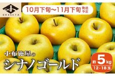 シナノゴールド 約5kg 12～18玉 ［小布施屋］ りんご 林檎 リンゴ 果物 フルーツ 令和7年産【2025年10月下旬～11月下旬発送】 ［A-10］