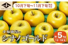 シナノゴールド 約5kg 12～18玉 ［小布施屋］ りんご 林檎 リンゴ 果物 フルーツ 令和7年産【2025年10月下旬～11月下旬発送】 ［A-10］