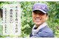 家業の農業を継ぐ前は調理師をしていた小林さんが、「そのまま食べるのが１番美味しい」と太鼓判を押すりんご。