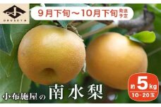南水梨 約5kg 10-20玉 ［小布施屋］  なし 梨 果物 フルーツ 令和7年産 【2025年9月下旬～10月下旬発送】［A-210］