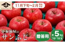 サンふじ 贈答用 約5kg 10～18玉 ［小布施屋］ りんご 林檎 リンゴ  果物 フルーツ 令和7年産【2025年11月下旬～2026年2月発送】［A-209］