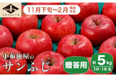  サンふじ 贈答用 約5kg 10～18玉 ［小布施屋］ りんご 林檎 リンゴ  果物 フルーツ 令和7年産【2025年11月下旬～2026年2月発送】［A-209］