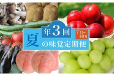 ［3回定期便］ 小布施の夏の味覚3回コース ［小布施屋］ 先行予約 フルーツ 果物 くだもの 野菜 やさい 数量限定 ネクタリン 桃 シャインマスカット ぶどう クール便 冷蔵 お楽しみ 3回お届け 長野県産 信州産 令和7年産 【2025年7月～10月発送】［D-2］