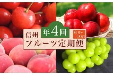 ［4回定期便］ 小布施のフルーツ4回コース ［小布施屋］ 定期便 先行予約 フルーツ 数量限定 さくらんぼ 白桃 ネクタリン シャインマスカット ぶどう クール便 冷蔵 お楽しみ 長野県産 信州産 令和7年産 【2025年6月中旬～10月発送】 ［E-2］