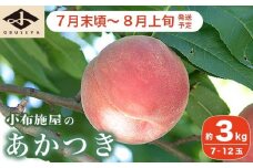  あかつき 約3kg 7～12玉 ［小布施屋］ 桃 もも モモ フルーツ 果物 令和7年産 【2025年7月末頃～8月上旬発送】 ［A-4］