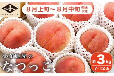  なつっこ (白桃） 約3kg 7～12玉 ［小布施屋］ 桃 白桃 もも モモ フルーツ 果物 令和7年産 【2025年8月上旬～中旬発送】 ［A-5］