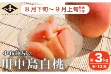  川中島白桃 約3kg 6～12玉 ［小布施屋］ 桃 白桃 もも モモ フルーツ 果物 令和7年産 【2025年8月下旬～9月上旬発送】［A-6］