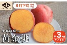 黄金桃 約3kg 7～12玉 ［小布施屋］ 桃 もも モモ フルーツ 果物 令和7年産 【2025年8月下旬発送】 ［A-11］