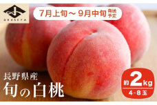 旬の白桃 約2kg 4～8玉 ［小布施屋］ 白桃 桃 もも モモ フルーツ 果物 クール便 冷蔵便 長野県産 信州産 期間限定 数量限定  たまき なつき あかつき 川中島白鳳 川中島白桃など 先行予約 2025 令和7年産 【2025年7月上旬～9月中旬発送】 ［H-76］