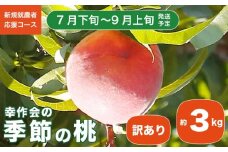 【訳あり】季節の桃 約3kg［新規就農者応援コース 幸作会］フルーツ 果物 桃 もも モモ 長野県産 信州産  令和7年産【2025年7月下旬～9月上旬発送】  ［K-24］