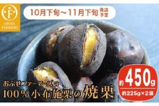  100％小布施栗の焼栗 約450g ［おぶせファーマーズ］ 果物 フルーツ 栗 くり 焼き栗 長野県産 信州産 令和7年産【2025年10月下旬〜11月下旬発送】 ［F-36］