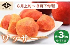 ワッサー 約3kg 6～14玉 ［小布施屋］ フルーツ 果物 長野県産 信州産 クール便 冷蔵便 数量限定 産地直送 令和7年産 【2025年8月上旬～8月下旬発送】 ［A-54］