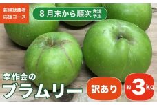 【訳あり】 ブラムリー 約3kg ［新規就農者応援コース 幸作会］フルーツ 果物 リンゴ りんご 林檎 クッキング アップル 長野県産 令和7年産【2025年8月末から順次発送】 ［KH-52］