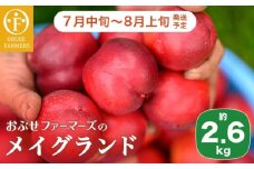 メイグランド 約2.6kg ［おぶせファーマーズ］ 果物 フルーツ ネクタリン 長野県産 信州産 令和7年産 【2025年7月中旬～8月上旬発送】［F-13］