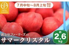  サマークリスタル 約2.6kg ［おぶせファーマーズ］先行予約 ネクタリン 果物 フルーツ 冷蔵便 クール便 長野県産 信州産  令和7年産【2025年7月中旬〜8月上旬発送】［F-20］