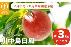 川中島白鳳 約3kg 7～12玉 ［おぶせファーマーズ］果物 フルーツ 桃 もも モモ クール便 冷蔵便 長野県産 信州産  令和7年産【2025年7月下旬〜8月中旬発送】［F-14］