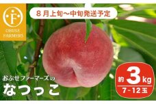 なつっこ 約3kg 7～12玉 ［おぶせファーマーズ］桃 もも モモ フルーツ 果物 クール便 冷蔵便 長野県産 信州産  令和7年産【2025年8月上旬〜中旬発送】 ［F-15］