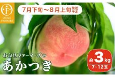あかつき 約3kg 7～12玉 ［おぶせファーマーズ］桃 もも モモ フルーツ 果物 クール便 冷蔵便 長野県産 信州産  令和7年産【2025年7月下旬〜8月上旬発送】 ［F-16］