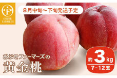 黄金桃 約3kg 7～12玉 ［おぶせファーマーズ］桃 もも モモ フルーツ 果物 クール便 冷蔵便 長野県産 信州産  令和7年産【2025年8月中旬～下旬発送】 ［F-18］