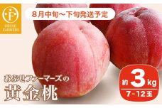 黄金桃 約3kg 7～12玉 ［おぶせファーマーズ］桃 もも モモ フルーツ 果物 クール便 冷蔵便 長野県産 信州産  令和7年産【2025年8月中旬～下旬発送】 ［F-18］