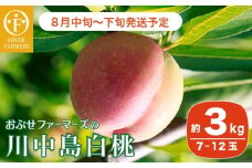 川中島白桃 約3kg 7～12玉 ［おぶせファーマーズ］桃 もも モモ フルーツ 果物 クール便 冷蔵便 長野県産 信州産 期間限定 数量限定 先行予約 2025 令和7年産【2025年8月中旬〜下旬発送】 ［F-19］