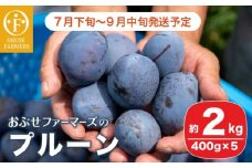 プルーン 約2kg ［おぶせファーマーズ］果物 フルーツ 生プルーン 産地 直送  クール便 冷蔵便 長野県産 信州産 令和7年産 【2025年7月下旬〜9月中旬発送】 ［F-21］