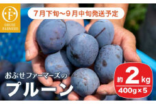 プルーン 約2kg ［おぶせファーマーズ］果物 フルーツ 生プルーン 産地 直送  クール便 冷蔵便 長野県産 信州産 令和7年産 【2025年7月下旬〜9月中旬発送】 ［F-21］