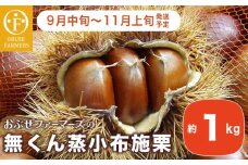  無くん蒸小布施栗 約1kg ［おぶせファーマーズ］ 果物 フルーツ 生栗 くり 長野県産 信州産 令和7年産 【2025年9月中旬〜11月上旬発送】 ［F-33］