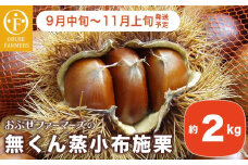  無くん蒸小布施栗 約2kg ［おぶせファーマーズ］ 果物 フルーツ 生栗 くり 長野県産 信州産 令和7年産 【2025年9月中旬〜11月上旬発送】 ［FB-23］