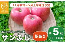 【訳あり】 サンふじ 約5kg 11～18玉［おぶせファーマーズ］  不揃い 規格外 家庭用 りんご 林檎 リンゴ 果物 フルーツ ふじ 長野 信州 数量限定 令和6年産  【2024年11月中旬～2025年5月上旬発送】［F-24］