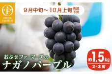  ナガノパープル 約1.5kg 2～3房 [おぶせファーマーズ]  果物 フルーツ ぶどう 葡萄 冷蔵便 クール便 長野県産 信州産 令和7年産 【2025年9月中旬〜10月上旬発送】 ［FB-22］