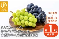 皮ごと食べられる長野県産ぶどう２種詰め合わせ シャインマスカット ＆ ナガノパープル 約1kg 各1房 ［おぶせファーマーズ］ 果物 フルーツ ぶどう 葡萄 冷蔵便 クール便 長野県産 信州産 食べ比べ 令和7年産 【2025年9月中旬〜10月上旬発送】 ［F-27］