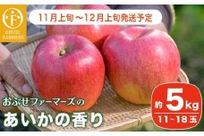  あいかの香り  約5kg 11～18玉 ［おぶせファーマーズ］ 果物 フルーツ りんご 林檎 リンゴ 長野県産 信州産 令和7年産 【2025年11月上旬～12月上旬発送】 ［F-234］