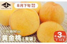 黄金桃（有袋） 約3kg 7～12玉 ［小布施屋］ 桃 もも モモ フルーツ 果物 令和7年産 【2025年8月下旬発送】 ［A-214］