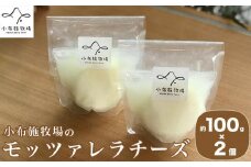 無添加 小布施牧場の搾りたてジャージー牛乳で作ったモッツァレラチーズ 100g × 2個 ［小布施牧場］チーズ モッツァレラ プレゼント 長野 信州 冷蔵便 クール便 ［B-14］