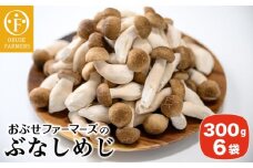  ぶなしめじ 300g × 6袋 ［おぶせファーマーズ］ きのこ キノコ 野菜 鍋 炒め物 長野 信州 ［FH-70］