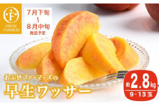 早生ワッサー 約2.8kg 9～13玉 ［おぶせファーマーズ］果物 フルーツ クール便 冷蔵便 長野県産 信州産  令和7年産【2025年7月下旬〜8月中旬発送】 ［F-38］